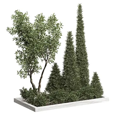 Outdoor Plant 220