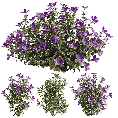 Purple Phlox Bush Arrangement