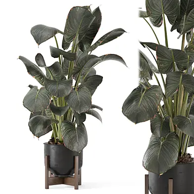 Indoor Plants in Handmade Metal Pot 3778