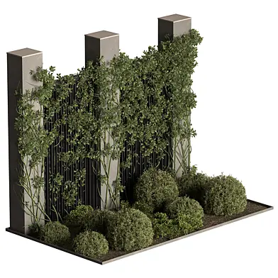 Ivy Plant on Wall - Outdoor Plants 731