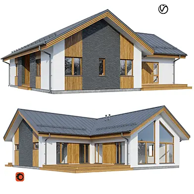 Modern house V120
