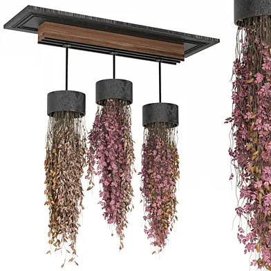 indoor hanging Plants Collection 2228