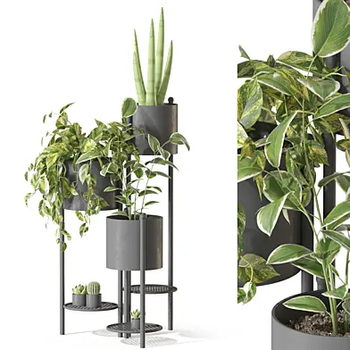 Plant Set 11