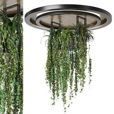 outdoor hanging plants 2234