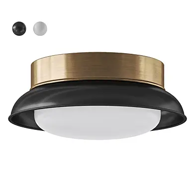 Dixon Metal Flush Mount by Pottery Barn