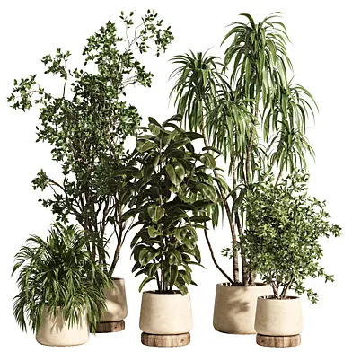 Indoor plant set 104 concrete and wood