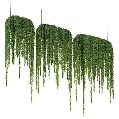 Plant Set 14