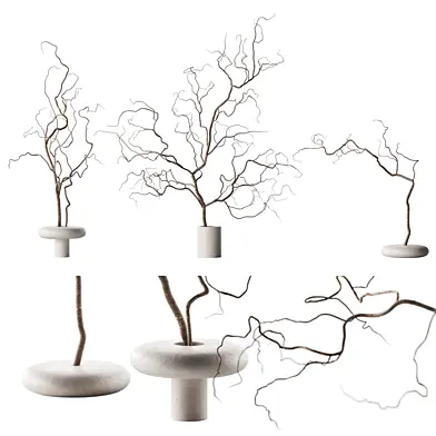 Set of branches