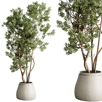 Branch Tree in a concrete pot - Indoor plant set 724