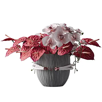bouquet of red orchid & anthurium flowers set41