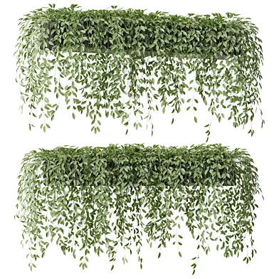 Plant 1300