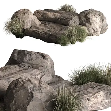Rock Surface and Plants 16