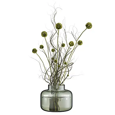 Plants Set 280