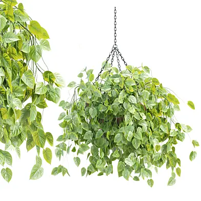 Hanging Plant 3D Model Vol 326