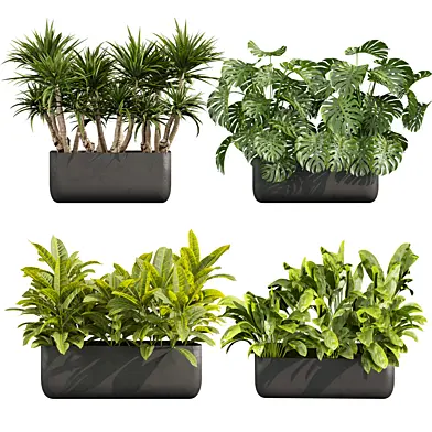 Plant vol 706 - monstera - croton - peace lily - palm