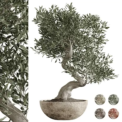 Indoor plant 082