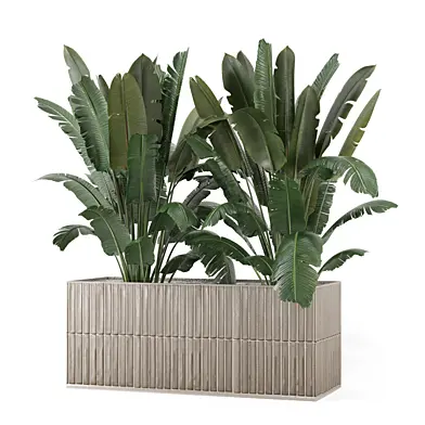 Outdoor Plants in Glazed Brown Tile Pot_Set 3874