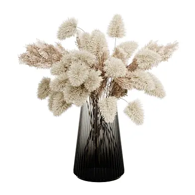 Decor Dried reeds