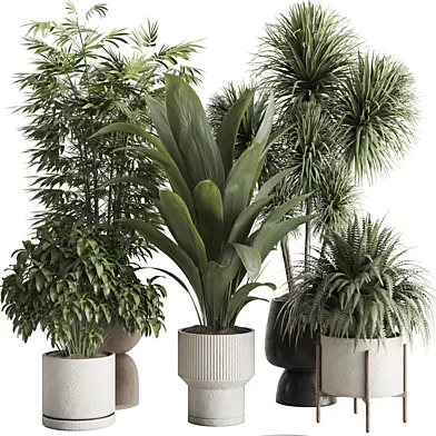 indoor plant Set 150
