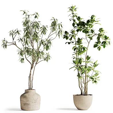 indoor plant set