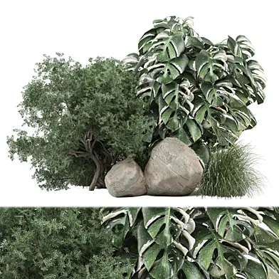 bush and tree plants 2291