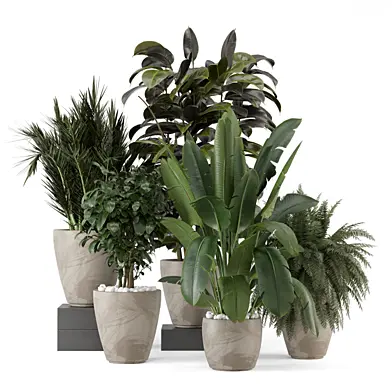 Indoor Plants Ferm Living Bau Pot Large_Set 3894