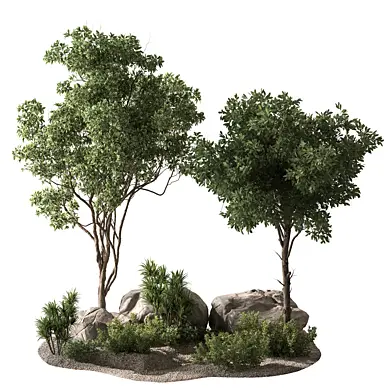 Garden Plants - Outdoor Tree 732