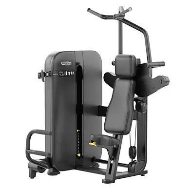 Technogym Artis Vertical Traction