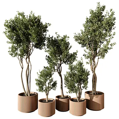 indoor Plant 677