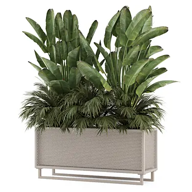 Outdoor Plants in Metal Pot_Set 4037