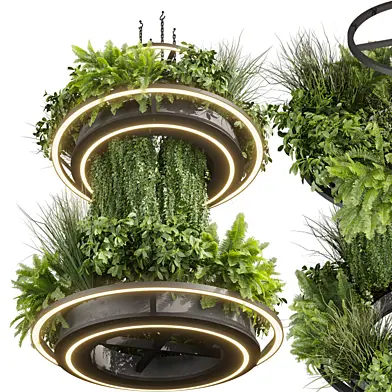 plant vol 741 - chandelier - ampelous - hanging - fern