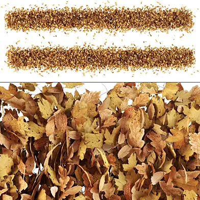 Leaf n3