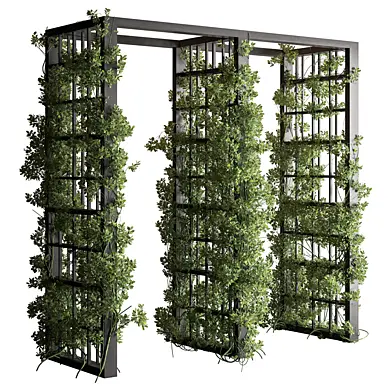 Ivy Plant Pergola - Outdoor Plants 737