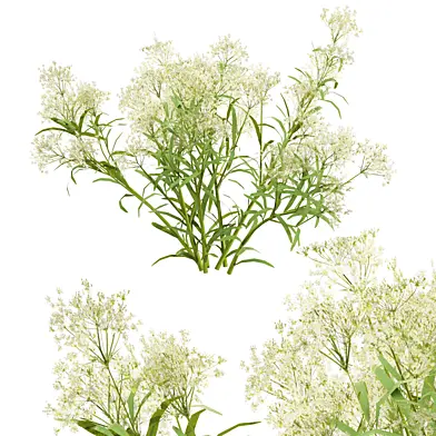 Low Poly Wild Plant 3D Model 03