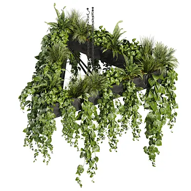 plant vol 844 - pothos - hanging - ampelous