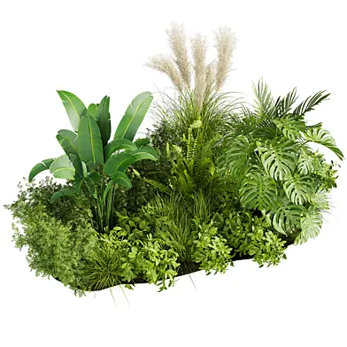 Plant vol 882 - leaf - outdoor - garden