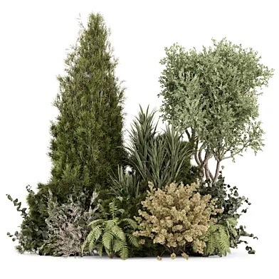 Landscape Dry Plants Bush Tree_Set 4202