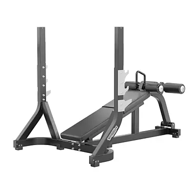 Technogym Olympic Declined Bench Pure