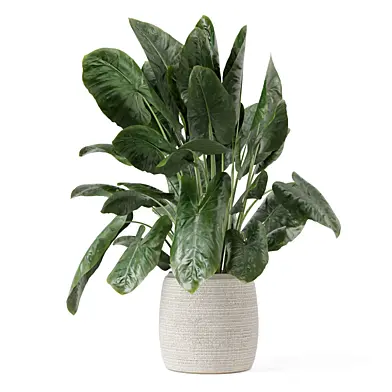 Indoor Plants Handmade Stone Pot_Set 4204
