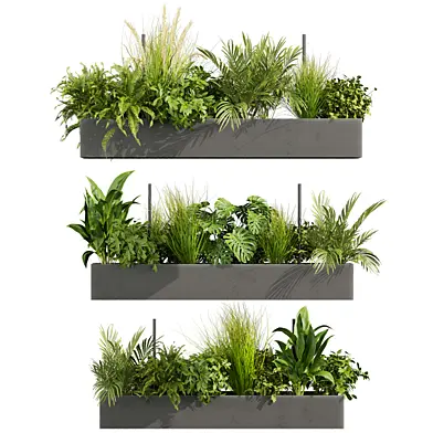 Plant Vol 896
