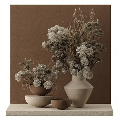 Indoor plant  0134