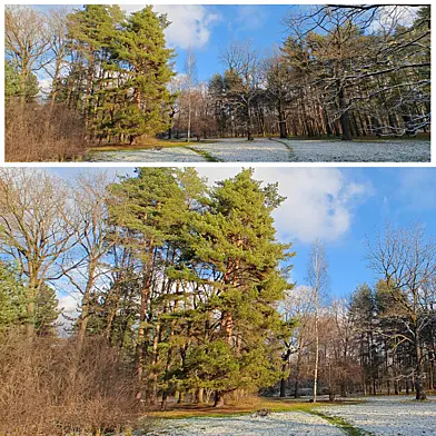The Nature Panorama