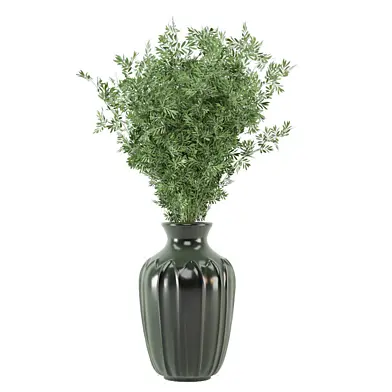 Indoor Plants Collection 2470