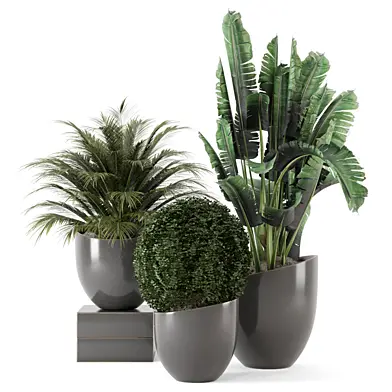 Indoor Plants in Decorative Gray Vase_Set 4227