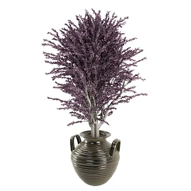 tree Plants Collection 2472