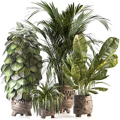 Plant Set 14