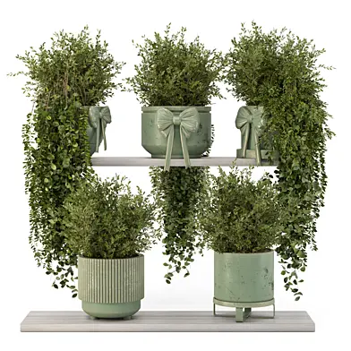 Indoor Hanging Plants On Shelf_Set 4230