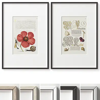 Picture Frames Set -637