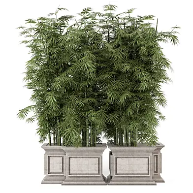 Bamboo Garden On Stone Base_Set 4243