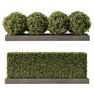 Boxwood Hedges – Low Form Set Vol 02